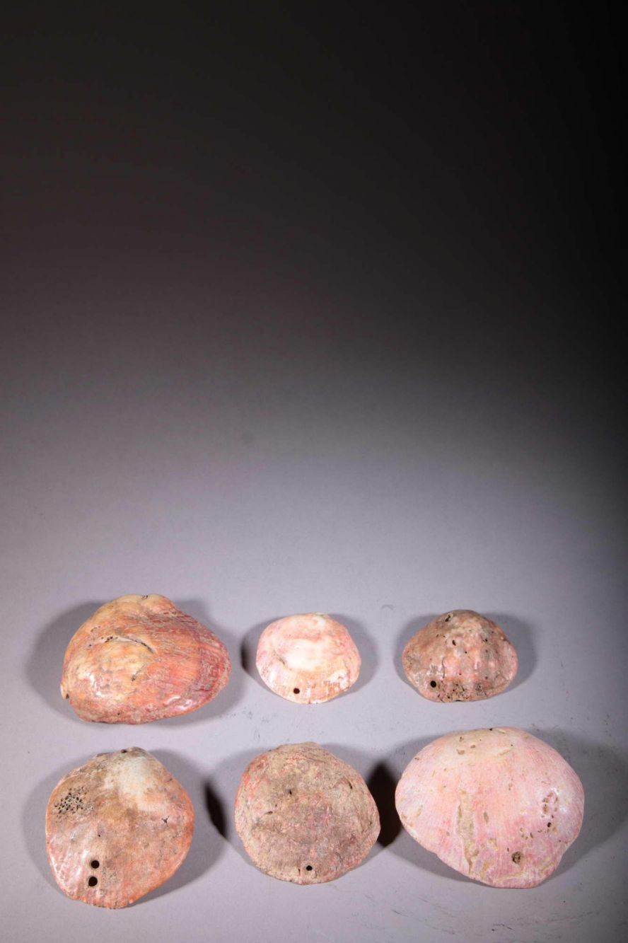 6 Baoulé shells 
