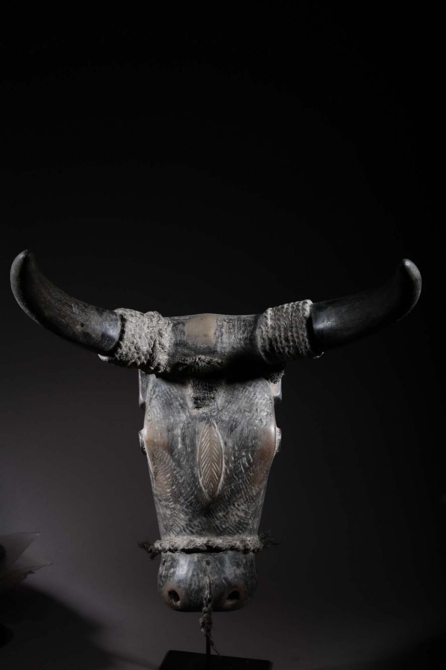 Baoulé buffalo mask 