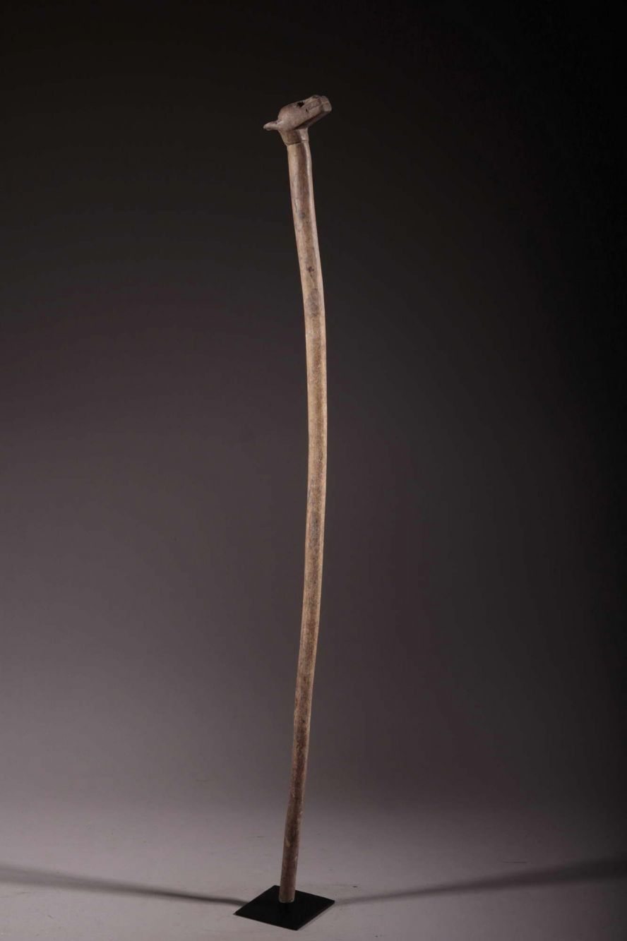 Baoulé's stick 